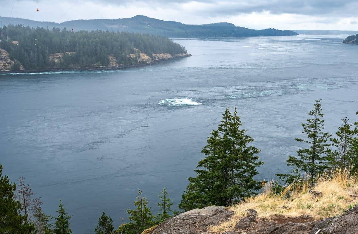 Ripple Rock Trail Guided Hike: Narrows Overlook & Blast History