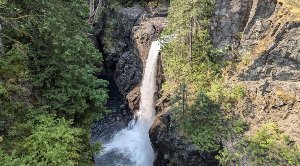 Elk Falls Provincial Park: Canyon Suspension Bridge & Old-Growth