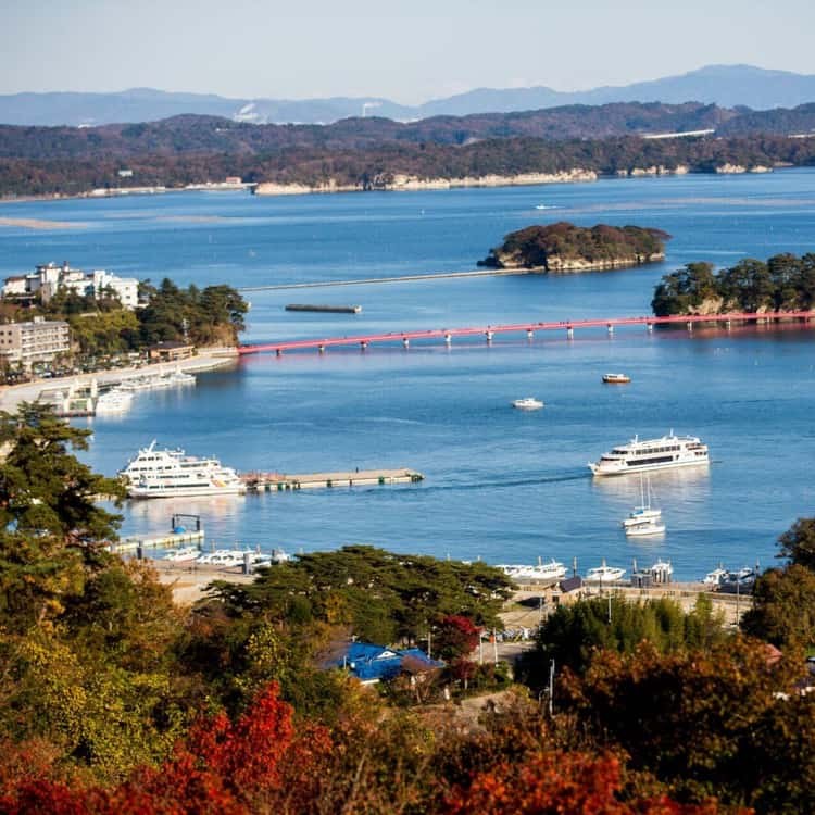 Matsushima Bay: Pine Islands by Private Boat & Tea House