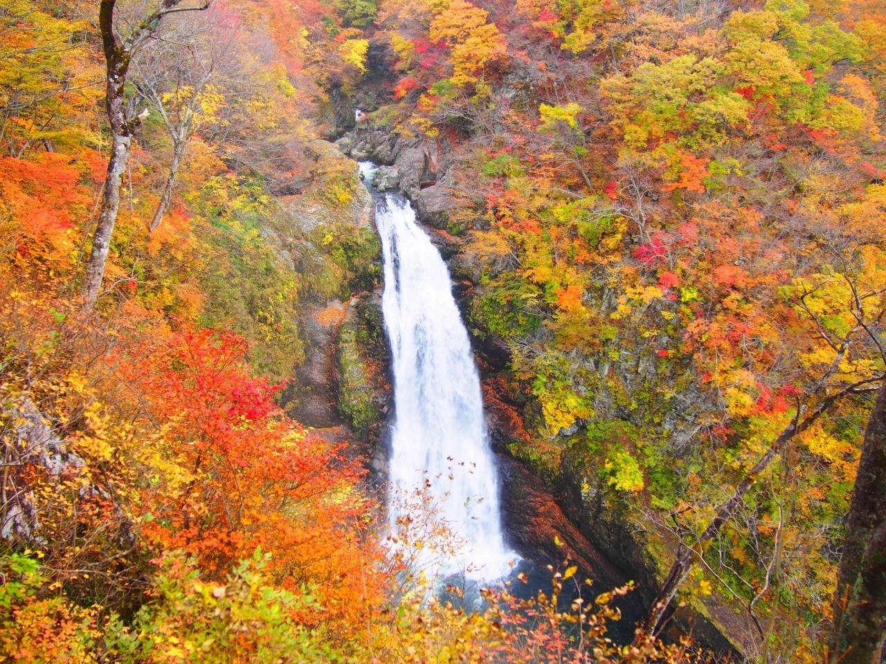 Akiu Onsen & Akiu Otaki Falls: Tohoku's Sacred Spa Valley