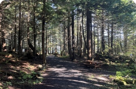 Coastal Hike & Craft Brewery Experience on Prince of Wales
