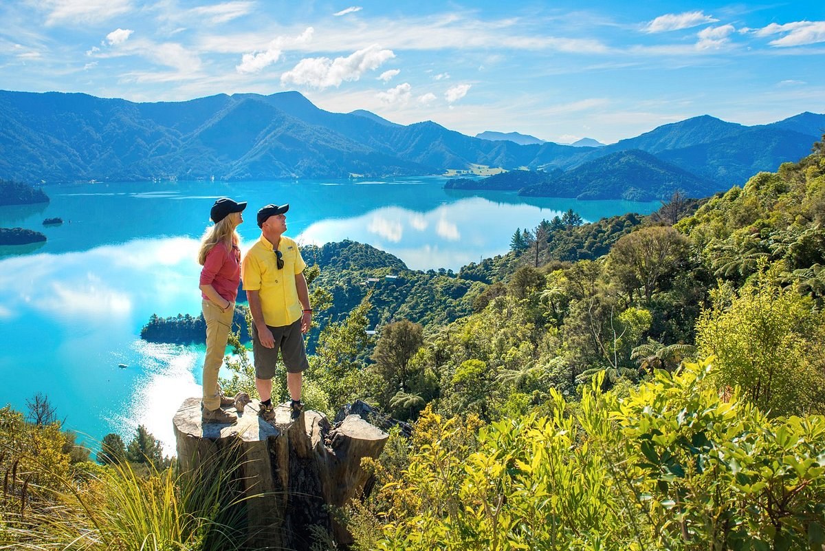 Queen Charlotte Track: Guided Walk & Scenic Sound Cruise