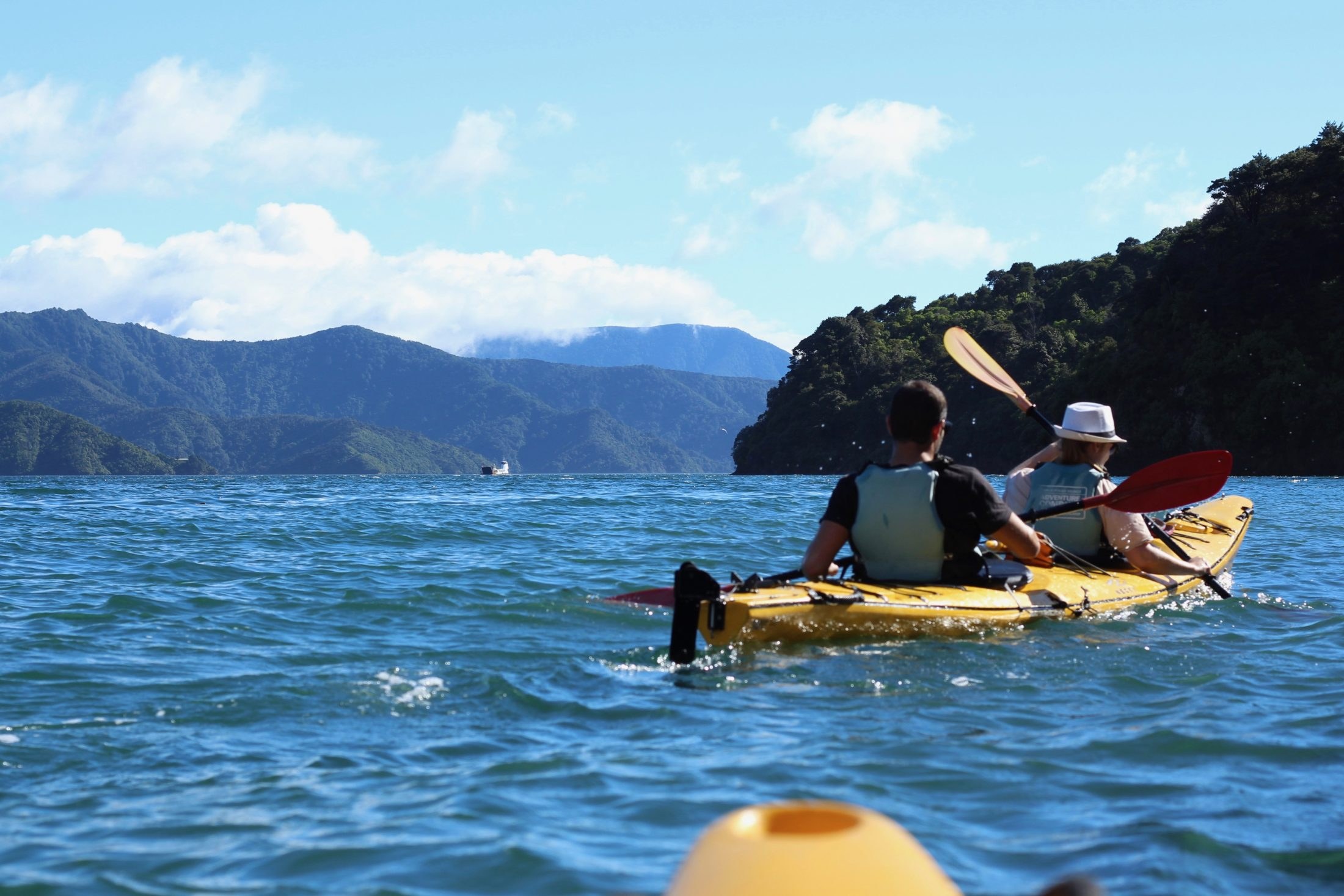 Full-Day Sea Kayak & Queen Charlotte Track Walk Combo