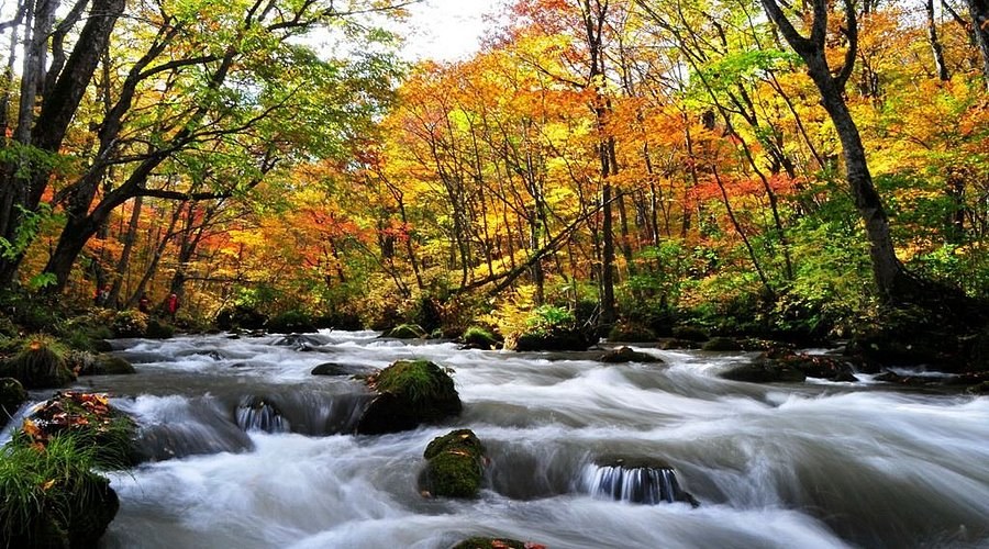 Oirase Gorge & Lake Towada: Private Scenic Wilderness Journey