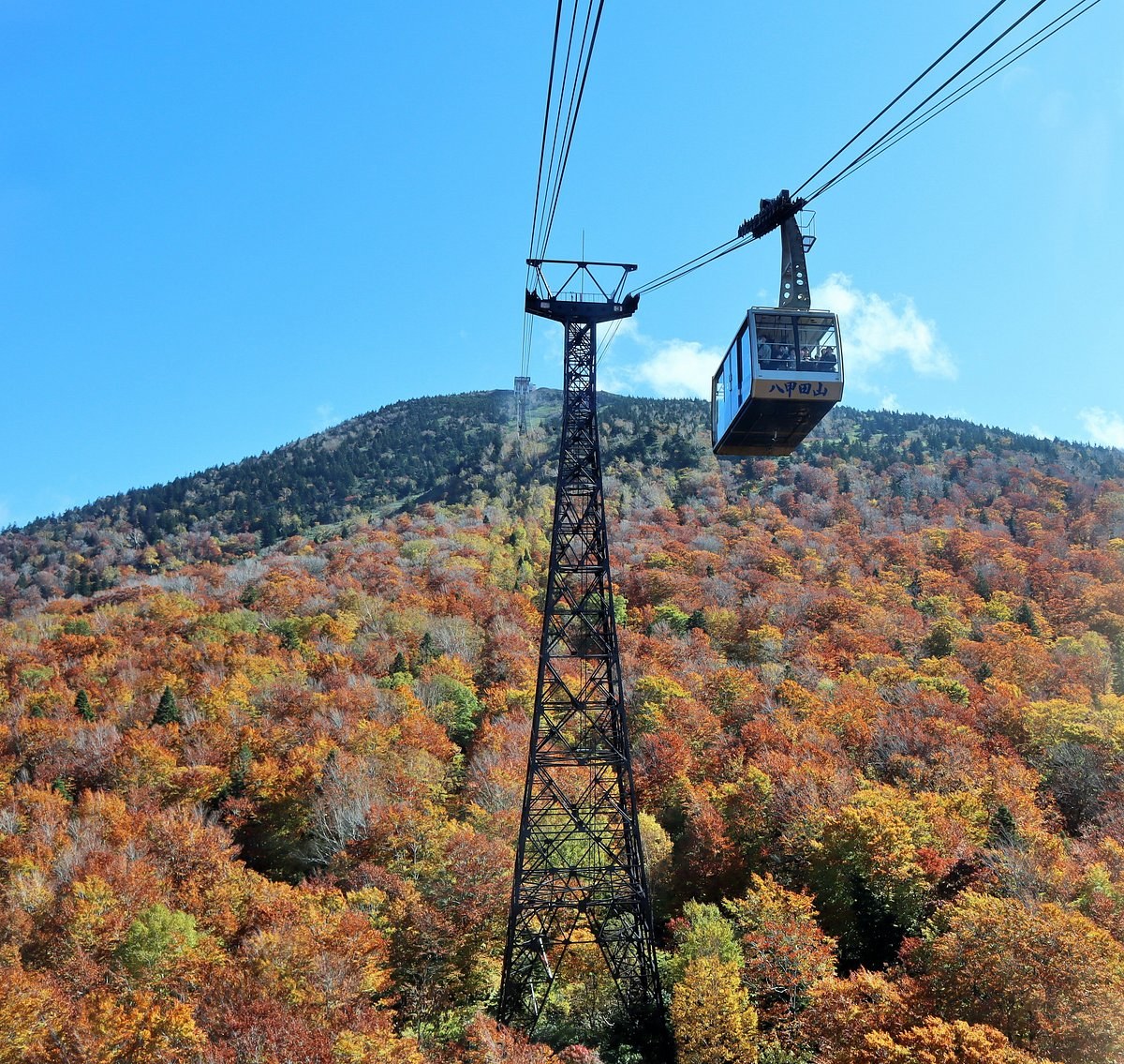 Hakkoda Ropeway & Alpine Plateau: Private Mountain Escape