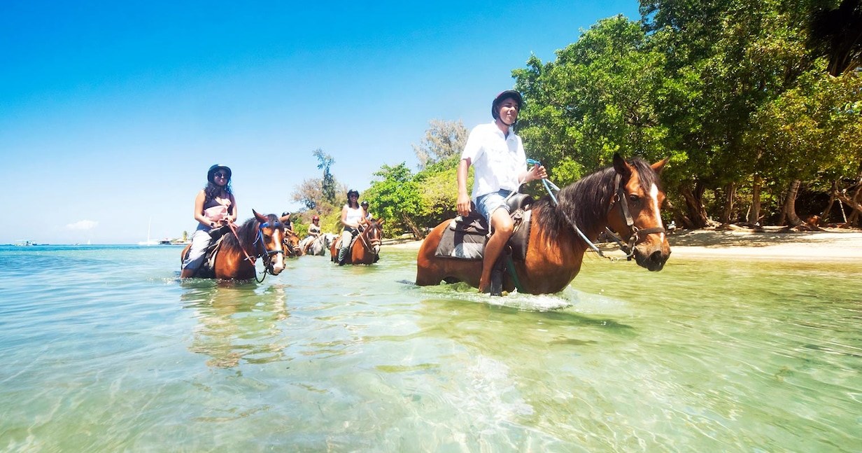 Horseback Ride and Swim with Horses in the Caribbean