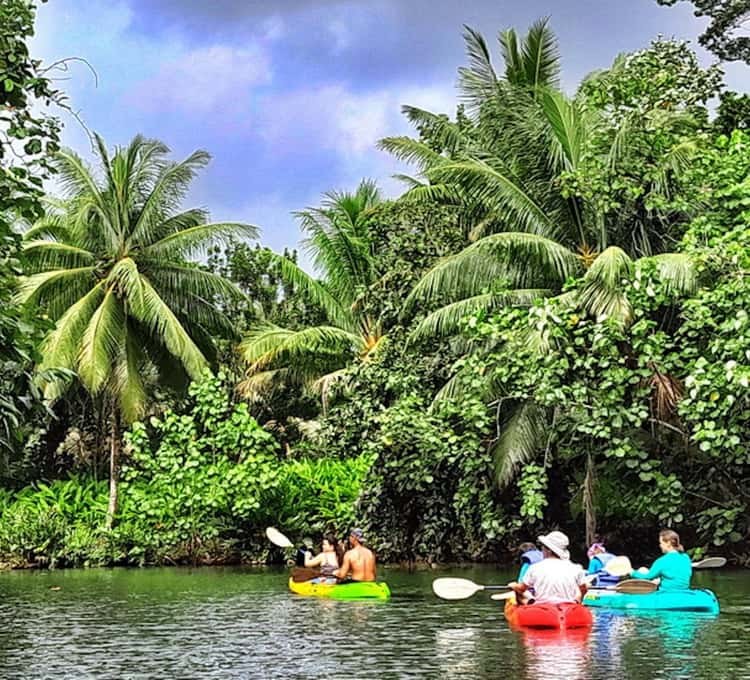 Faaroa River Kayak Expedition: Into Polynesia's Sacred Valley