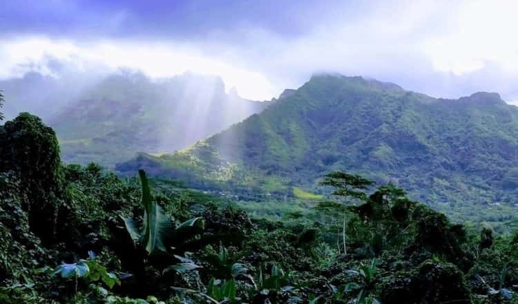 4×4 Island Safari: Pearl Farm, Rum Distillery & Vanilla Highlands