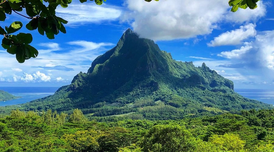 Belvedere Lookout & Opunohu Valley 4×4 Private Island Tour