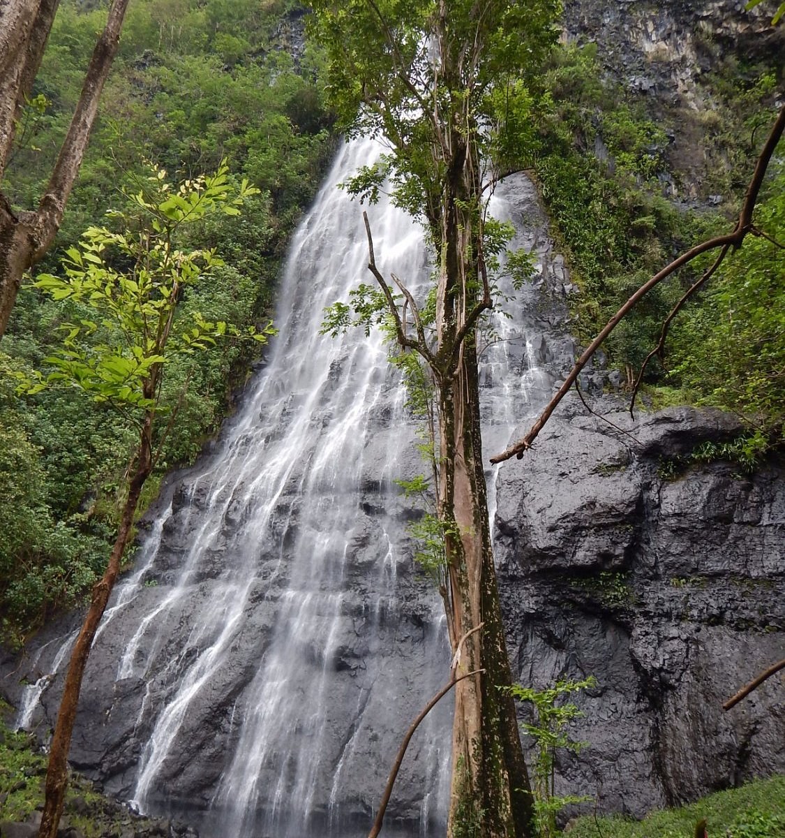 Afareaitu Waterfall Guided Hike & Sacred Valley Immersion