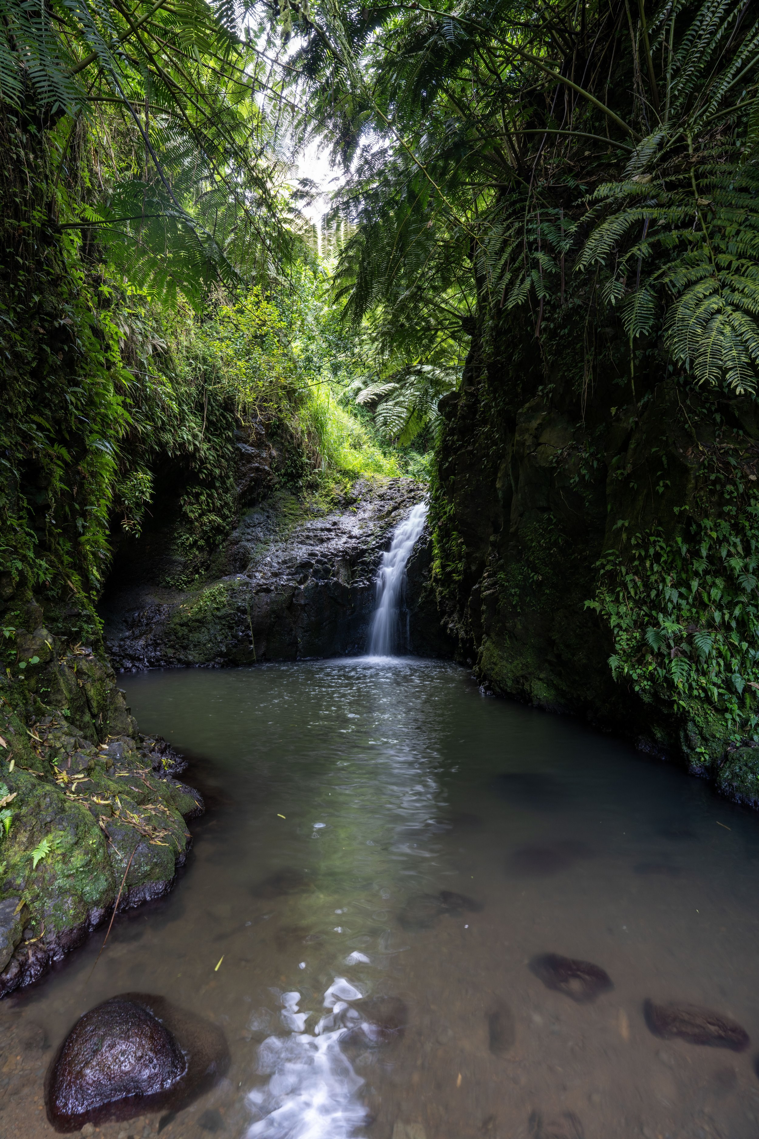 Maunawili Falls Jungle Hike: Hidden Waterfall Deep in the Ko'olau
