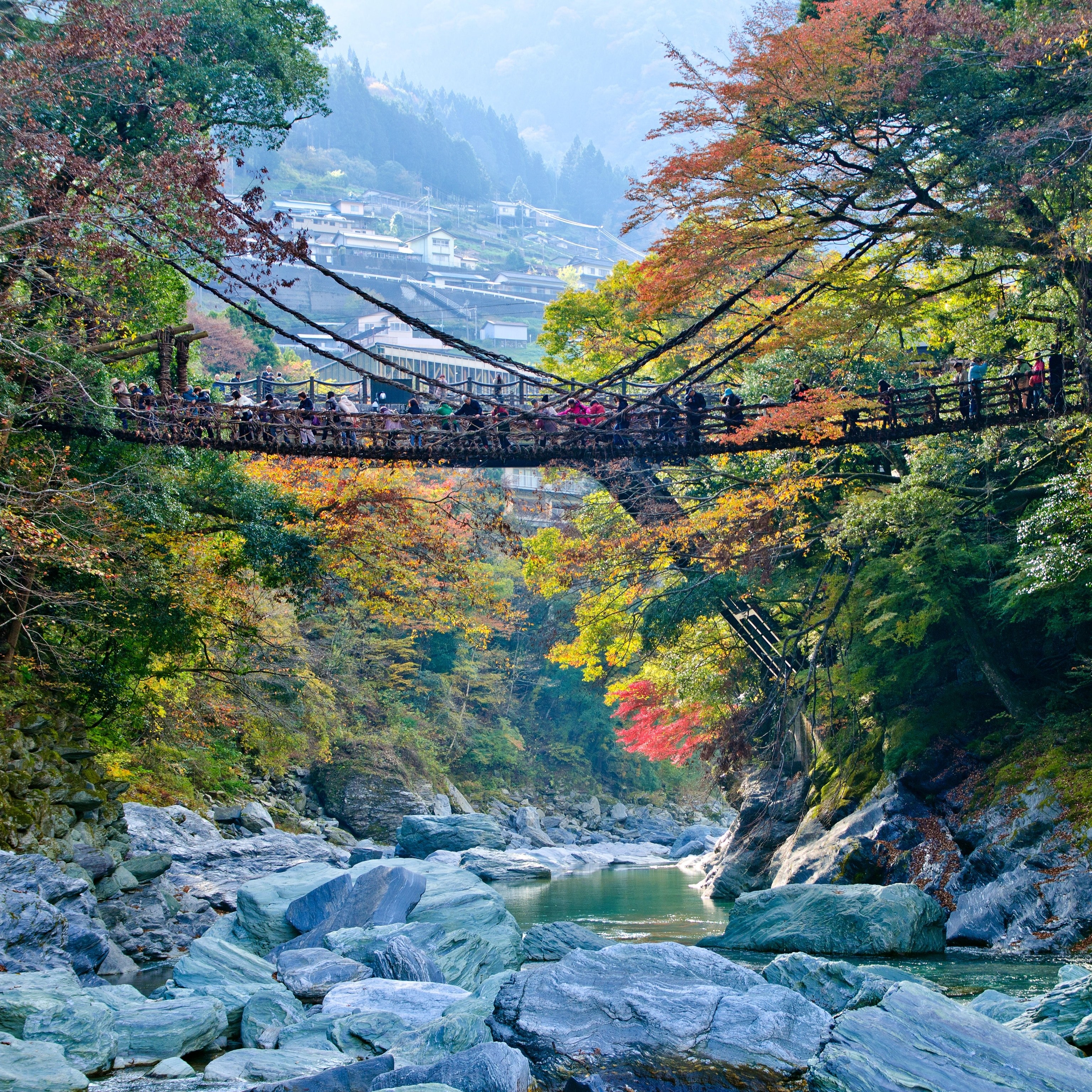 Iya Valley Vine Bridges & Oboke Gorge: Japan's Hidden Heartland
