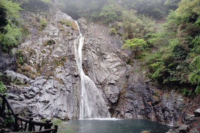 Kobe Nunobiki Falls & Shin-Kobe Forest Walk: Hidden Cascade