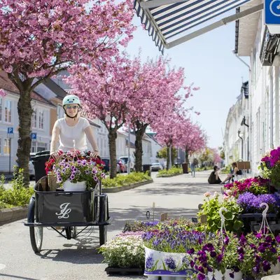 Posebyen Old Town & Kristiansand Cathedral: Private Walking Tour