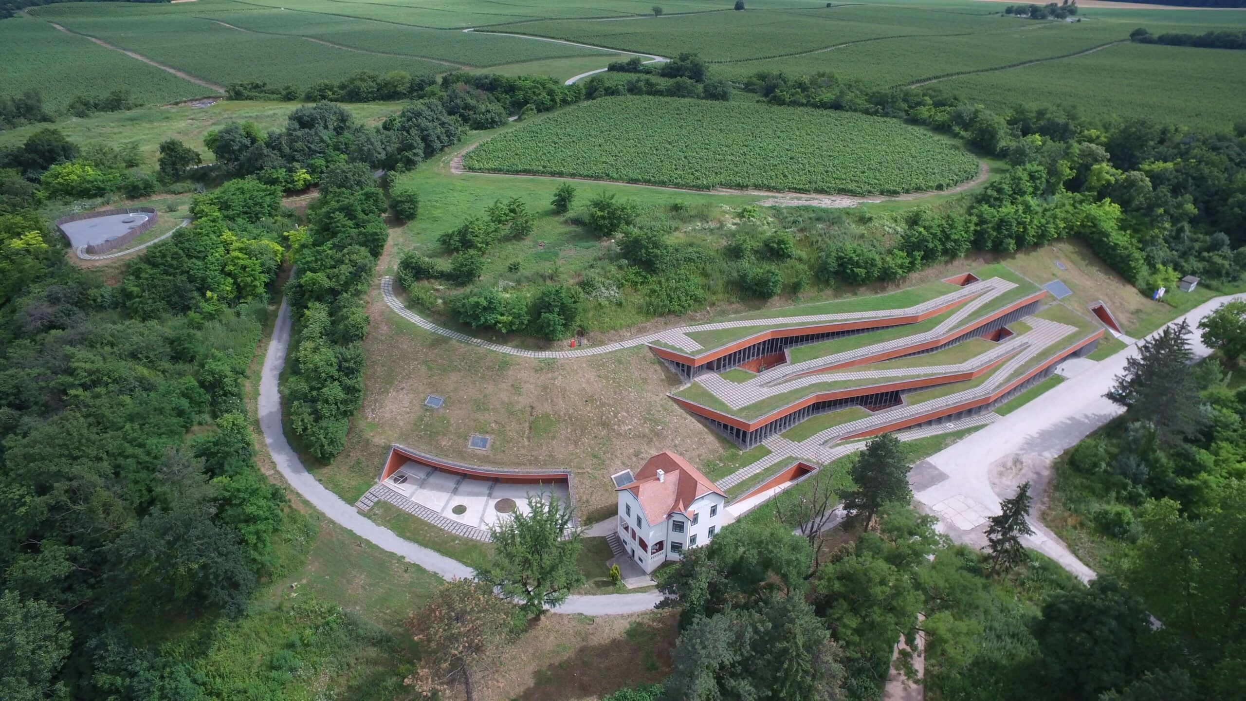 Vučedol Culture Museum: Private Expert Tour of a Lost Civilisation