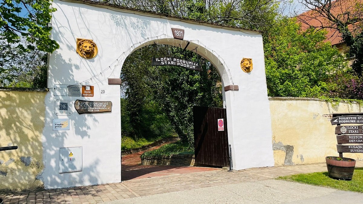Ilok Wine Estate Private Tasting: Croatia's Oldest Royal Cellar