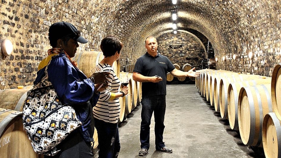 Villány Wine Estate: Private Cellar Tasting with a Master Winemaker