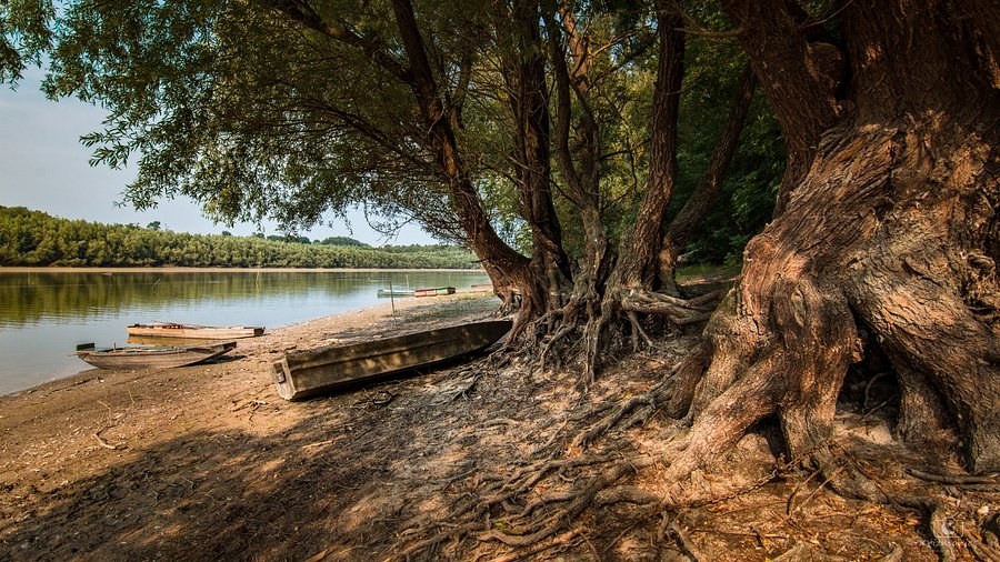 Duna-Dráva National Park: Private Naturalist Kayak & Wildlife Safari