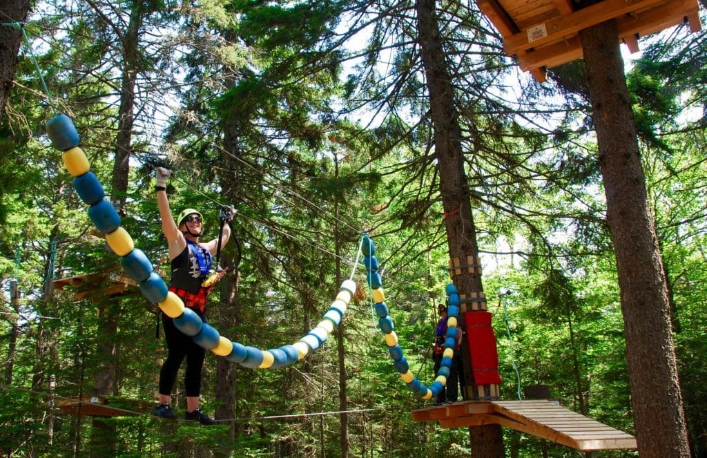 TimberTop Adventures: Aerial Forest Canopy Experience