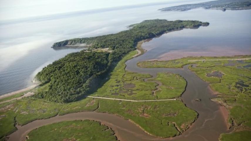Irving Nature Park: Private Guided Bay of Fundy Wildlife Walk