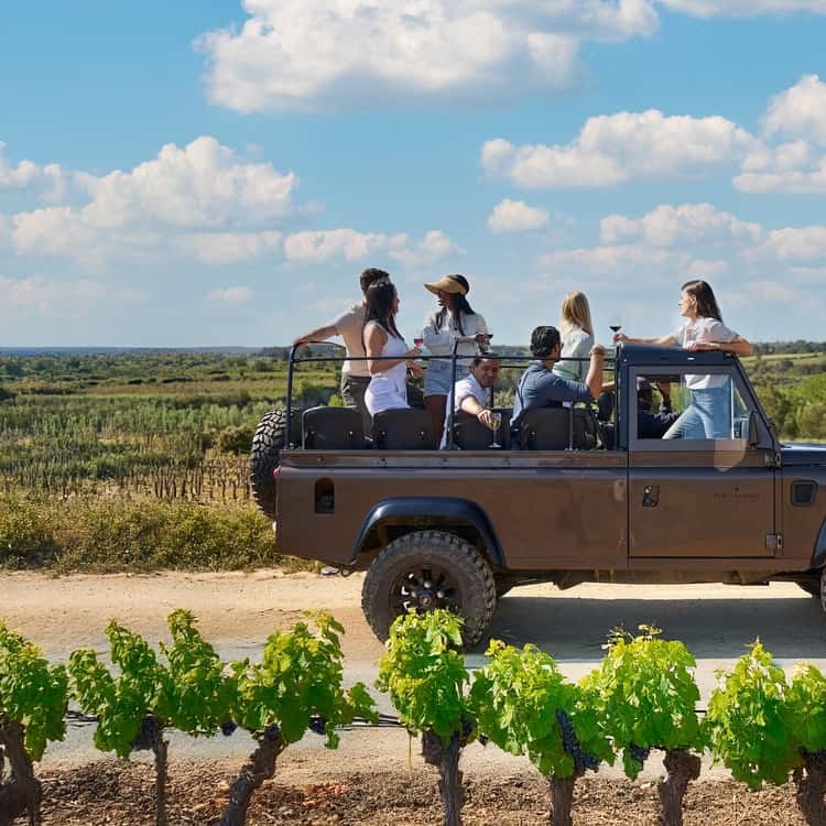 Penedes Wine & Cava Experience: Make Your Own Bottle