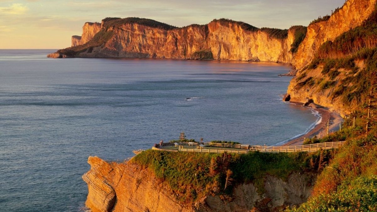 Forillon & Gaspésie Ramparts: Private Guided Coastal Drive