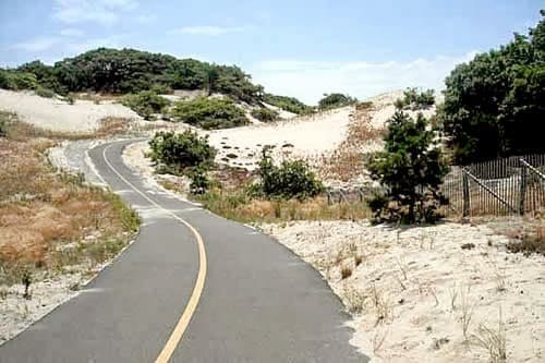 Province Lands Dunes & Provincetown: Wild Cape Tip Adventure