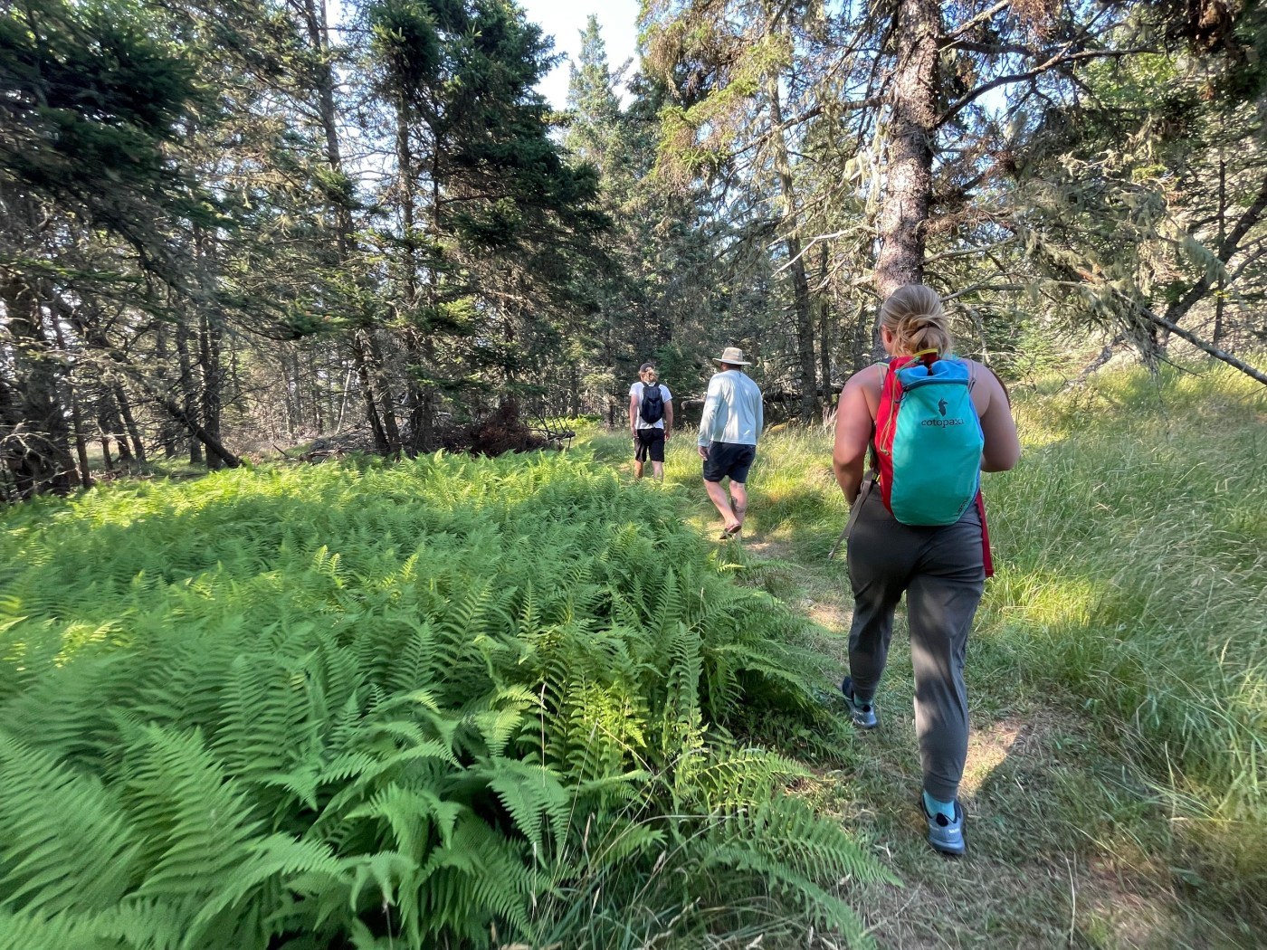 Monroe Island Private Adventure: 6-Hour Wilderness Escape