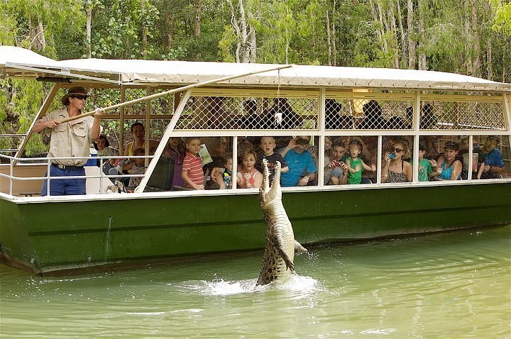Hartley's Crocodile Adventures: Wildlife Immersion & Croc Show