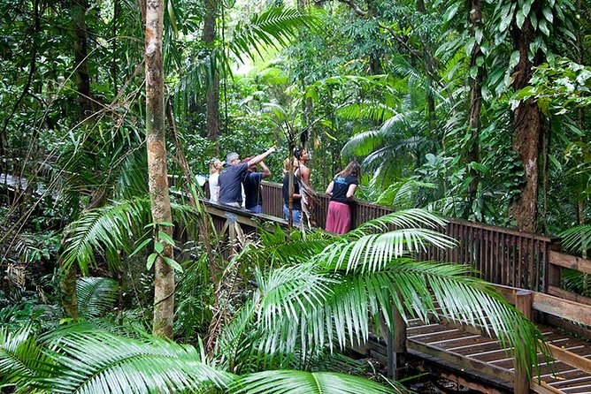 Daintree Rainforest & Mossman Gorge Private Day Tour