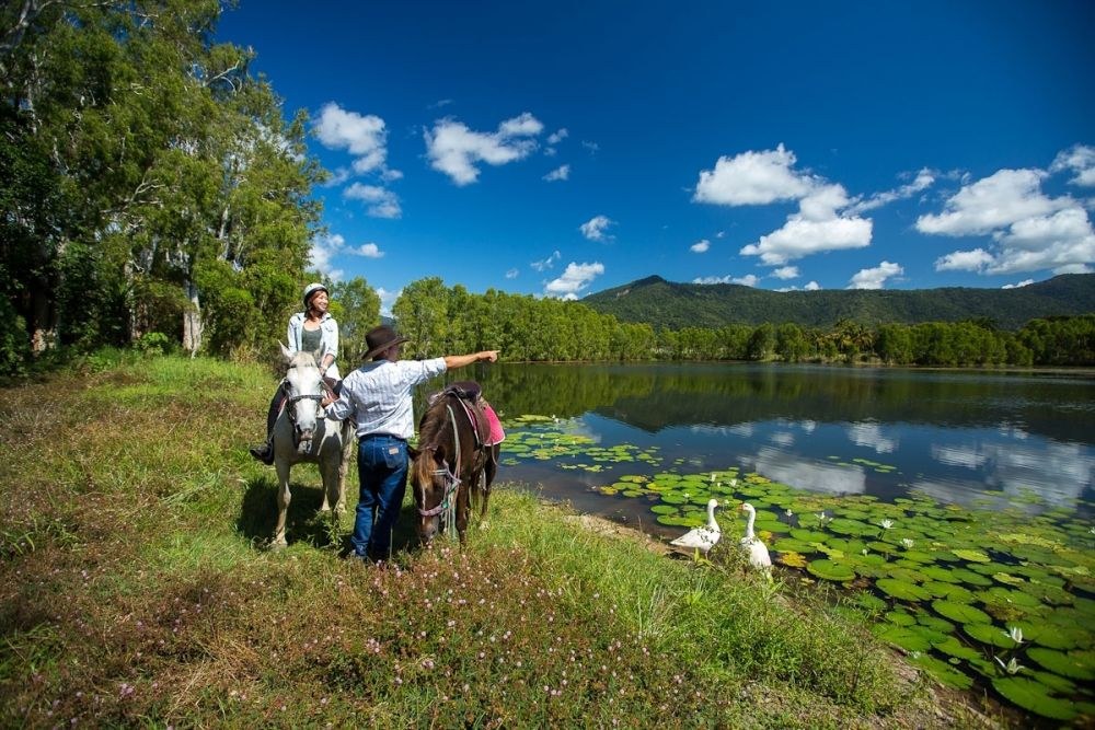 Blazing Saddles Horseback Ride: Hinterland & Beach Trails