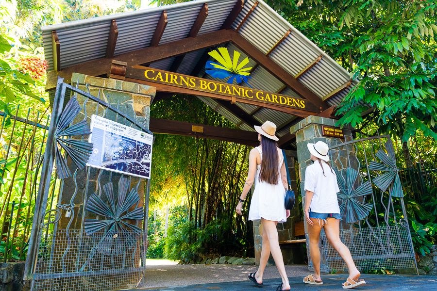 Cairns Botanic Gardens & Tanks Arts Centre Cultural Walk