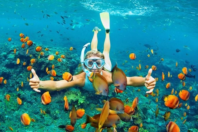 Blue Lagoon Snorkel Expedition: Private Boat & Reef Drift