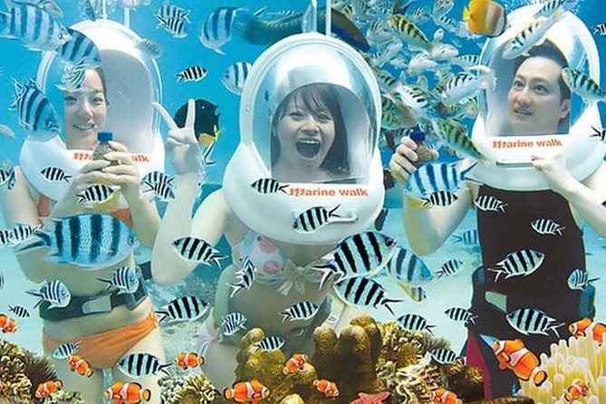 Tanjung Benoa Sea-Walking & Marine Turtle Sanctuary Boat Tour