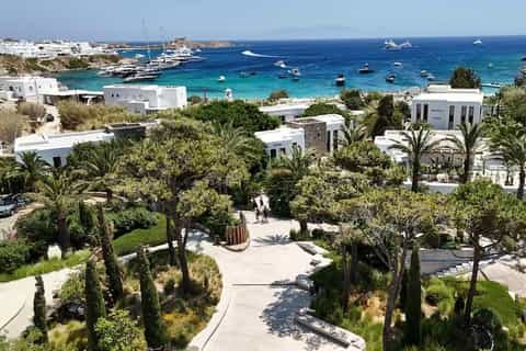 VIOMA organic vineyard: tasting on a working Cycladic farm