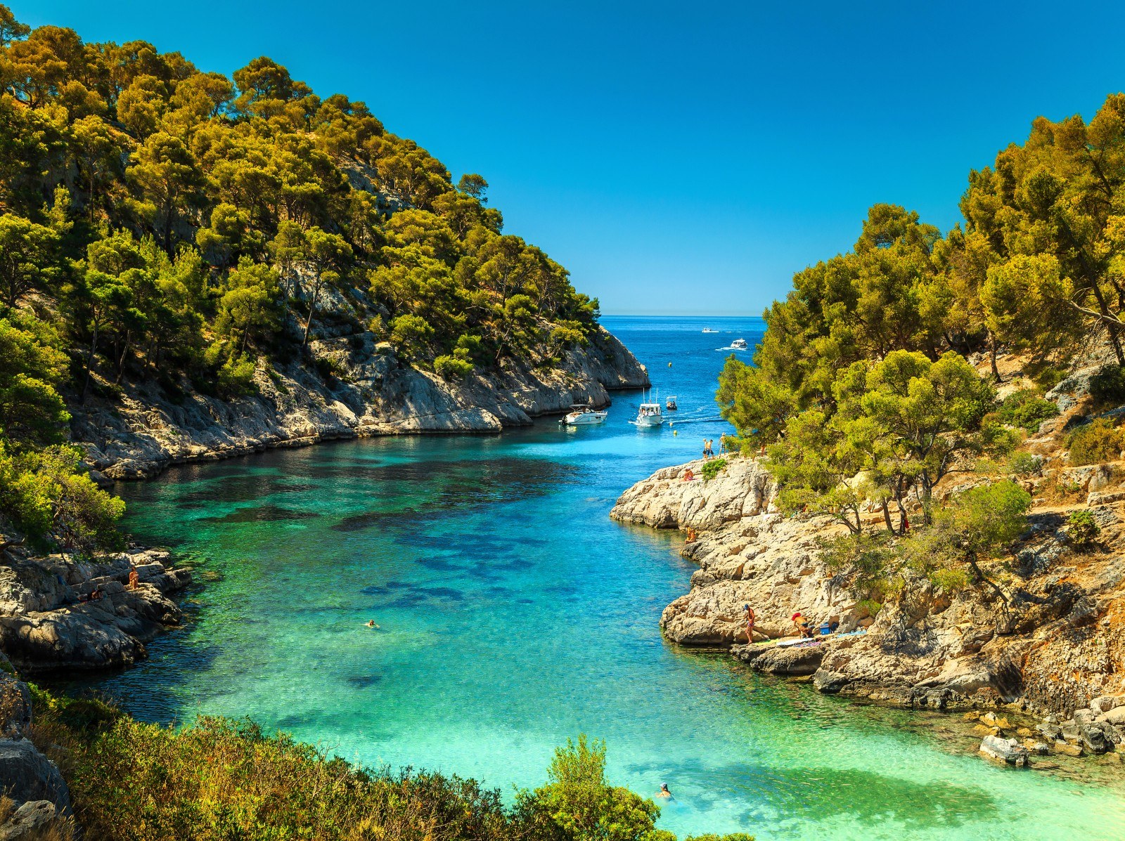 Calanques National Park: Expert-Guided Scenic Hike