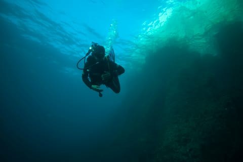 Scuba Diving in the Calanques Marine Reserve, Marseille