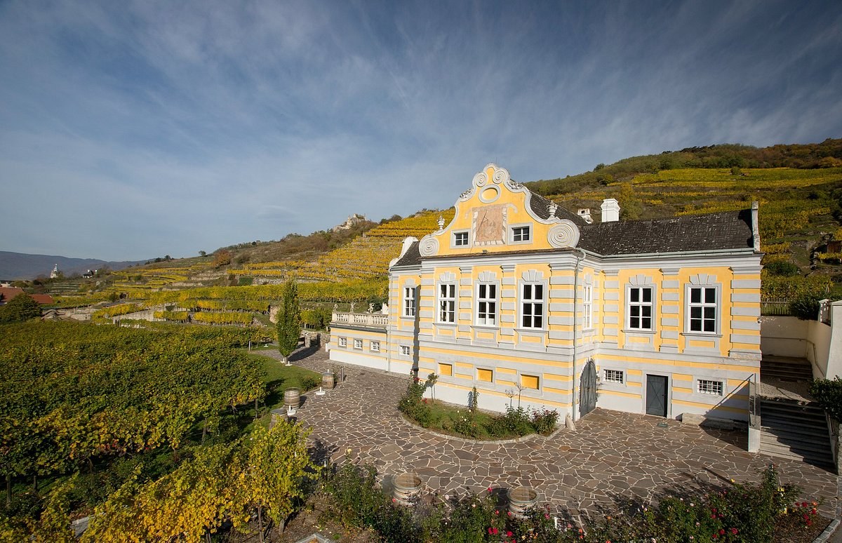 Estate Tour & Wine Tasting at Domäne Wachau with a Winemaker