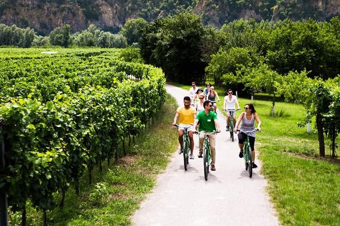 E-Bike Through Wachau Vineyards: Dürnstein to Weißenkirchen