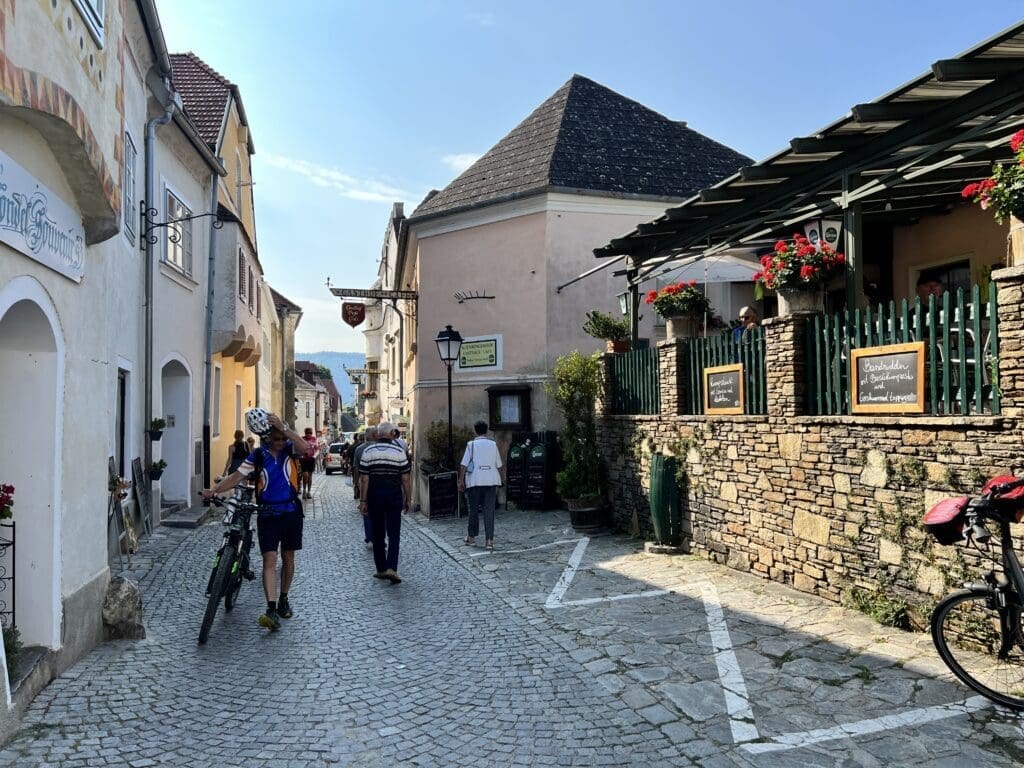 Medieval Old Town Stroll & Artisan Shopping in Dürnstein