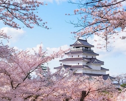 Private Tsuruga & Fukui Full-Day Tour with Local Expert