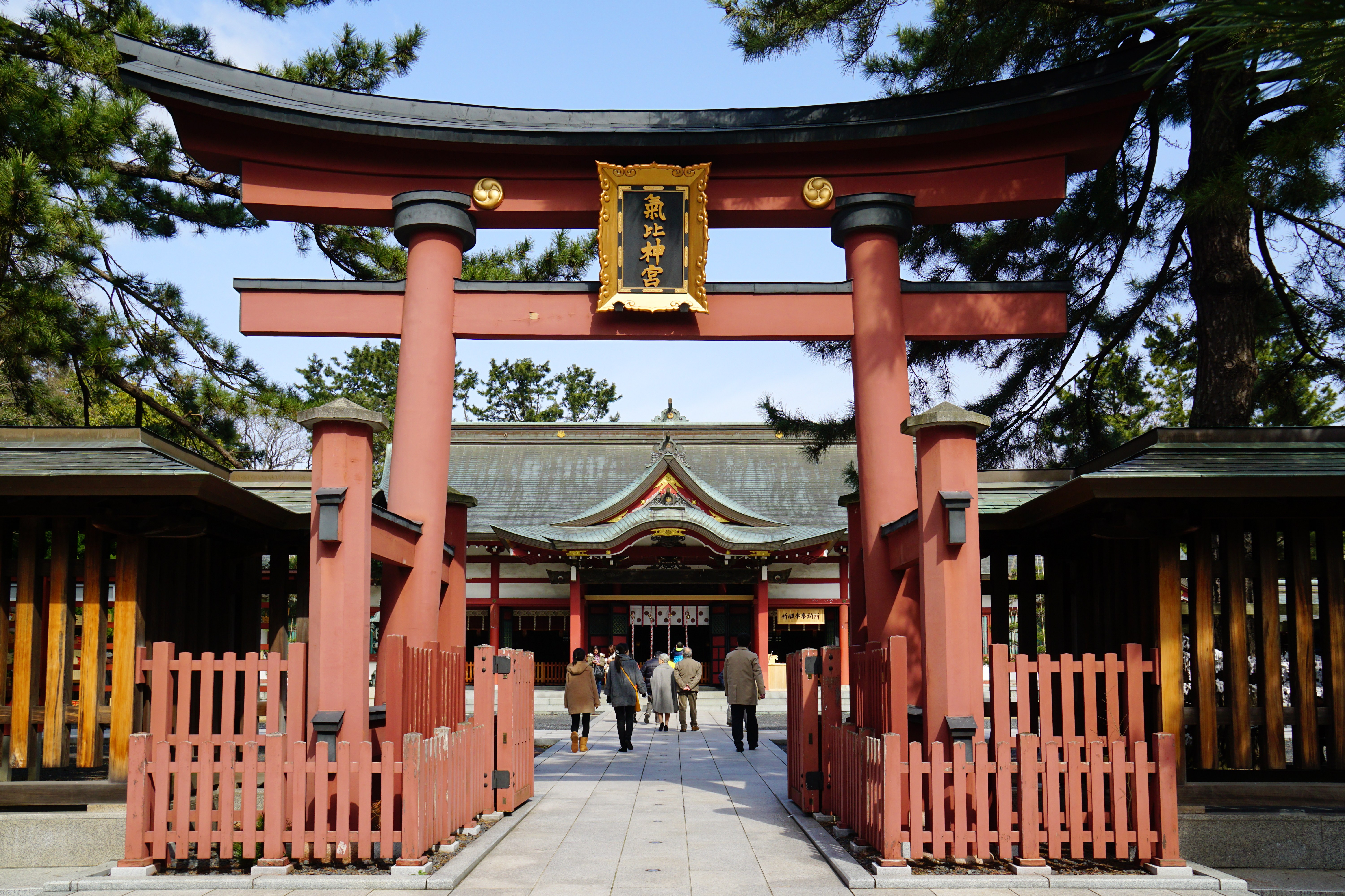 Kehi Jingu Shrine: Japan's Third-Greatest Torii in Private Audience