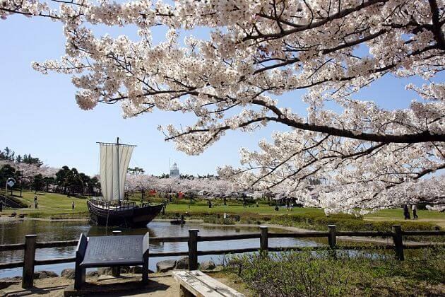 Sakata Highlights Shore Excursion — Small Group, 6 Hours