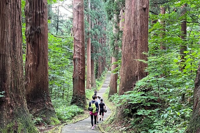 Mount Haguro E-Bike Sightseeing Tour — Sacred Forests & Shrines