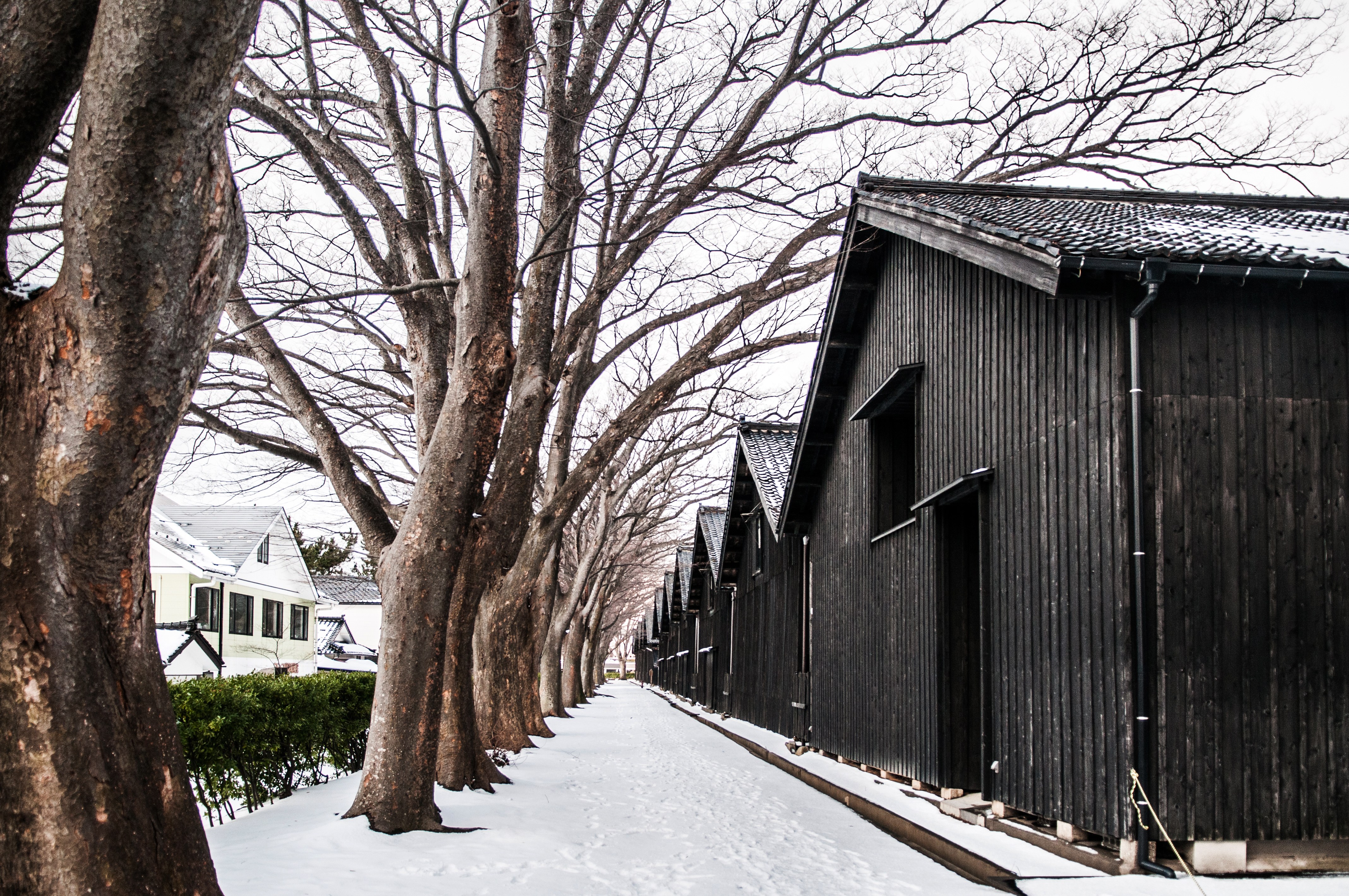Sakata Custom Half-Day Private Tour — Japan Awaits