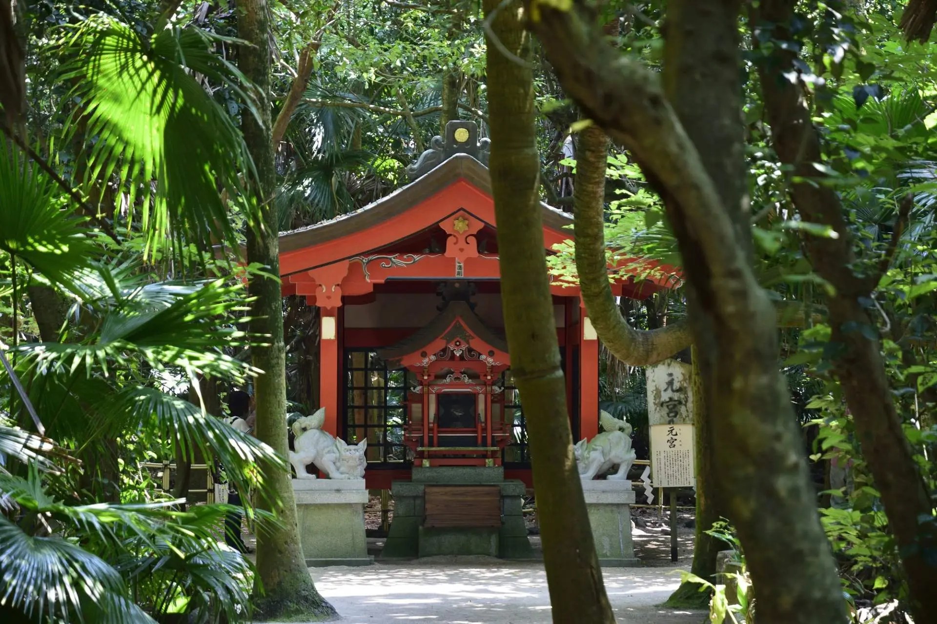 Aoshima Island: Tropical Shrine & Devil's Washboard Walk