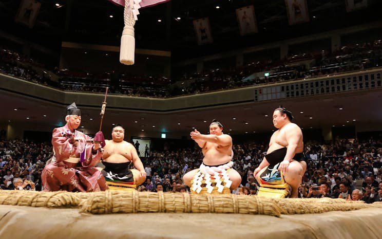 Nagoya Grand Sumo Tournament: Ringside Seats & Expert Guide