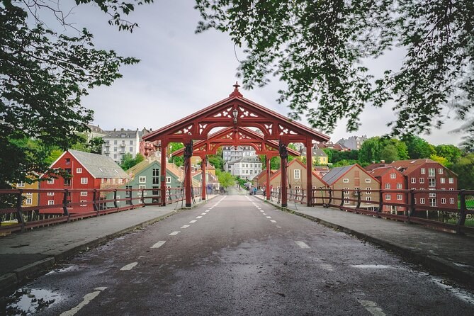 Trondheim Private Walking Tour: Bakklandet, Bridge & Old Quarter