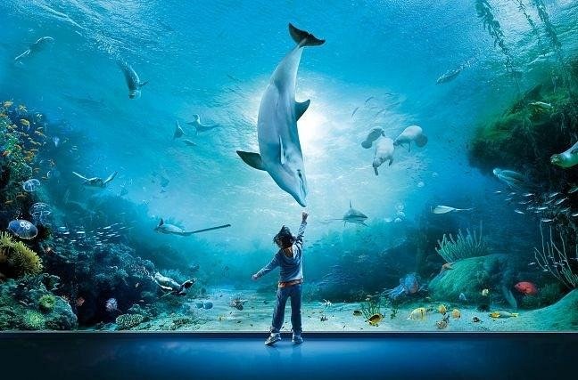 Acquario di Genova -- Europe's largest aquarium