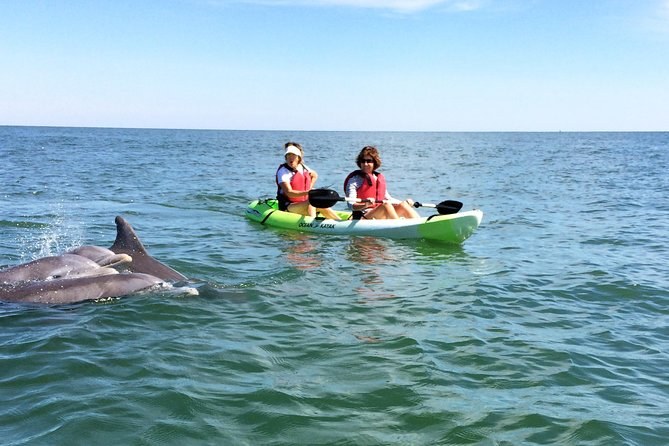 Small-Group Dolphin Kayak Eco-Tour on the Elizabeth River